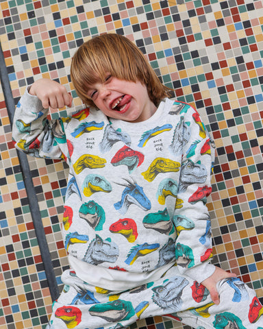 DINO SK8 CRUZ SWEATSHIRT