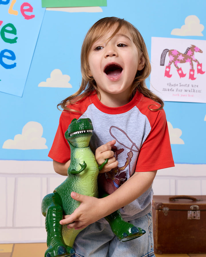 TOY STORY RAGLAN TEE - GREY MARLE