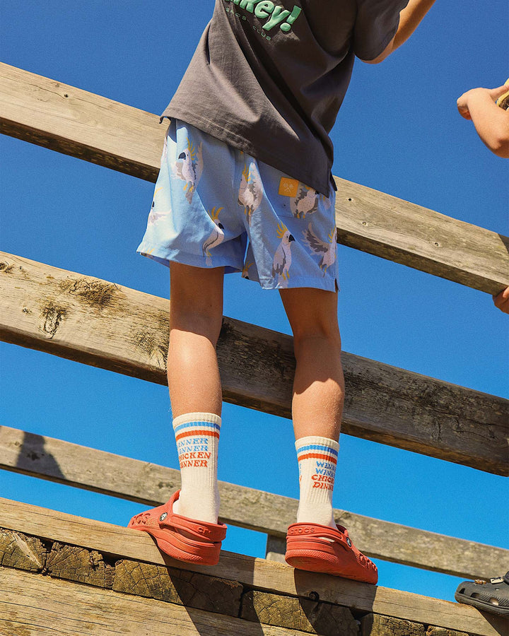 Chicken Dinner Kids Socks in Multi Stripe