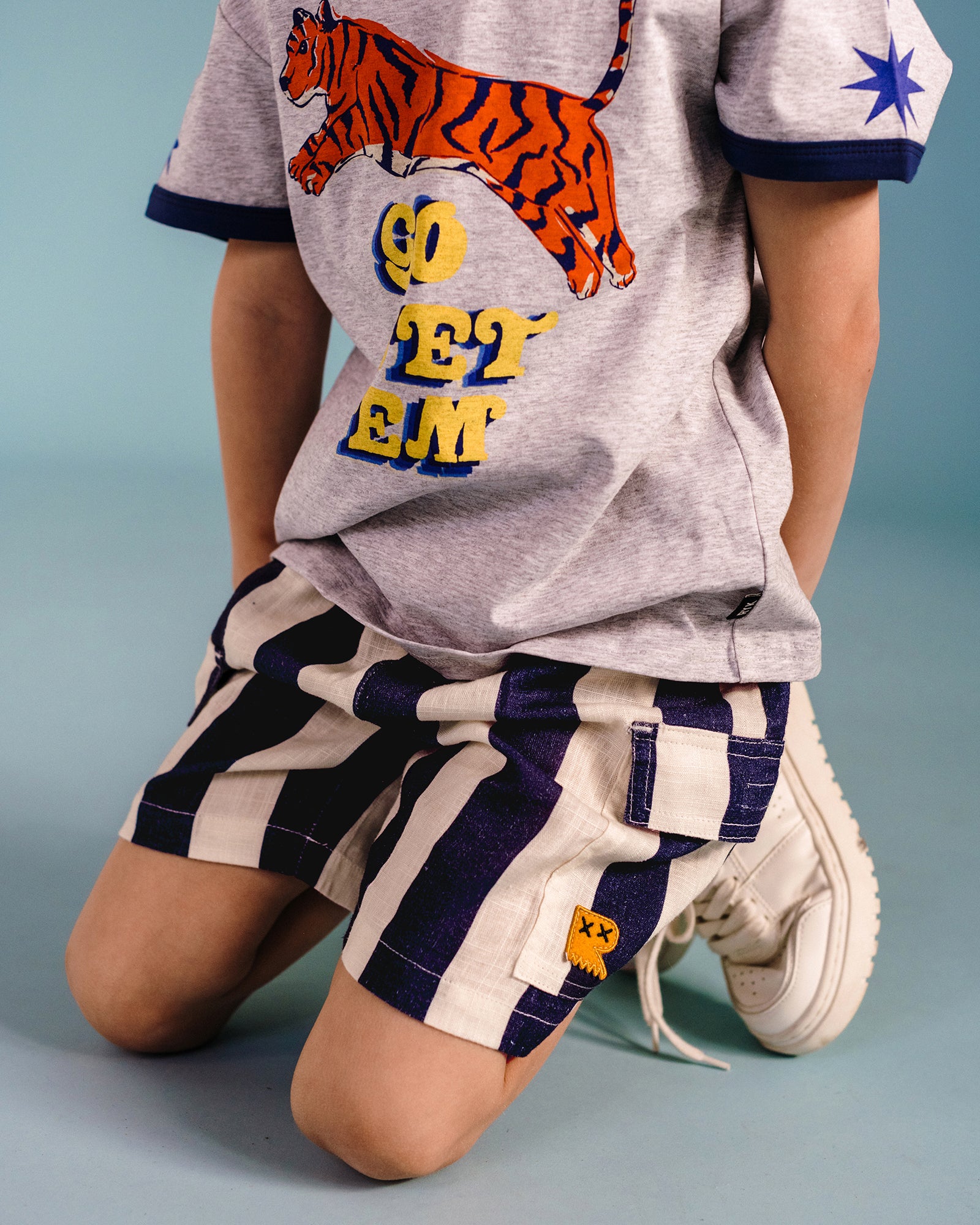 JURASSIC STRIPE CARGO SHORTS