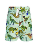 DINO POP EVERYDAY SHORTS IN AQUA