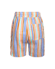 JURASSIC JAM STRIPE TEXTURED  SHORTS