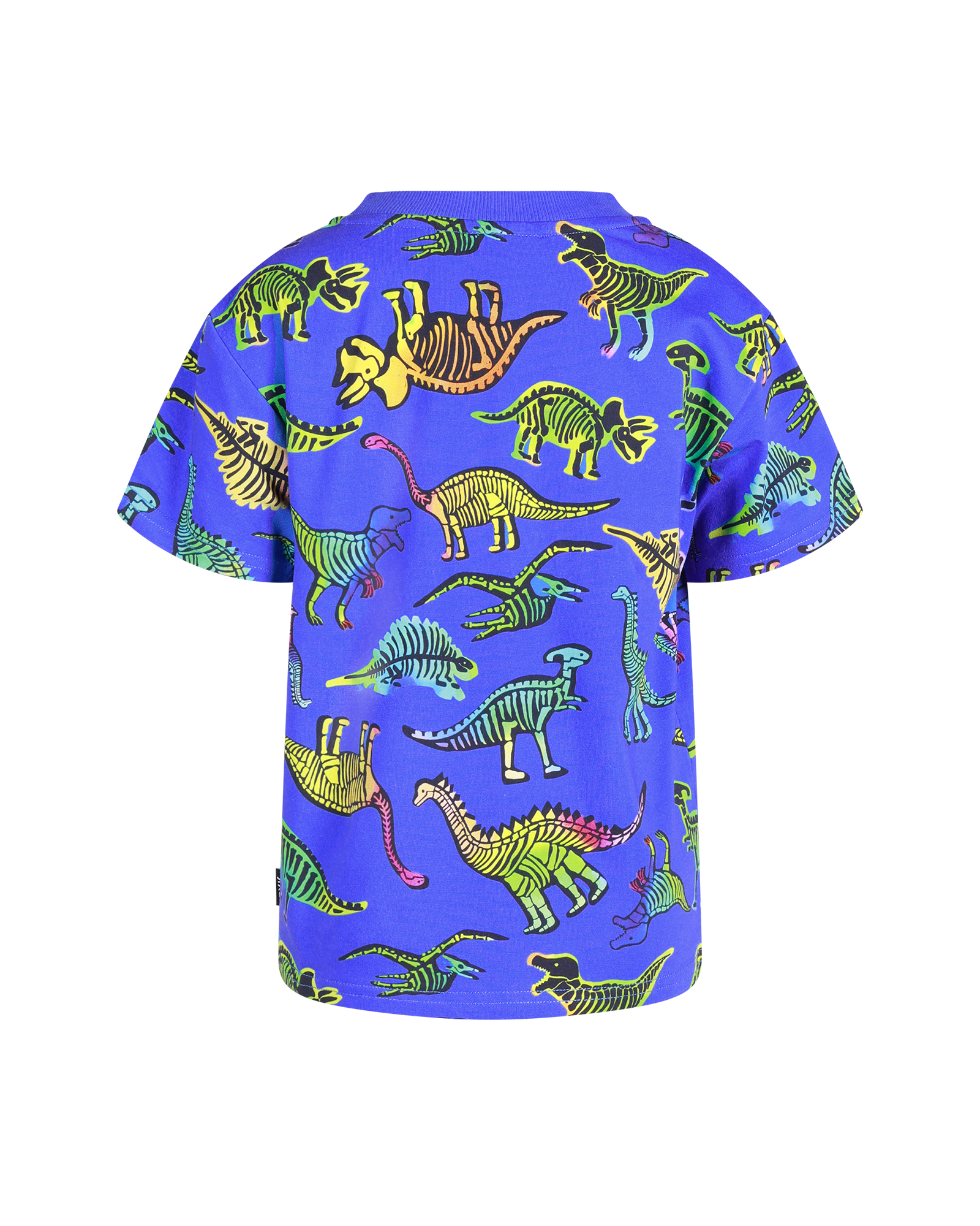 DINO POP SHORT SLEEVE T-SHIRT