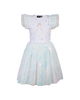 DISNEY FROZEN QUEEN ELSA SHIMMER DRESS