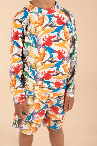 DINO TOYS BOARD SHORTS