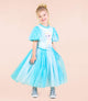 ICE QUEEN PUFF SLEEVE TULLE DRESS