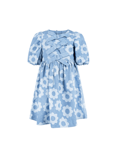 DAISY CHAMBRAY DRESS