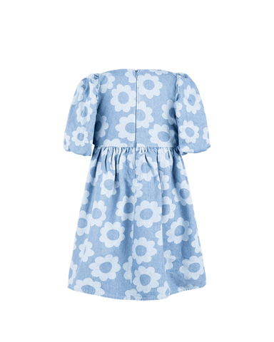 DAISY CHAMBRAY DRESS