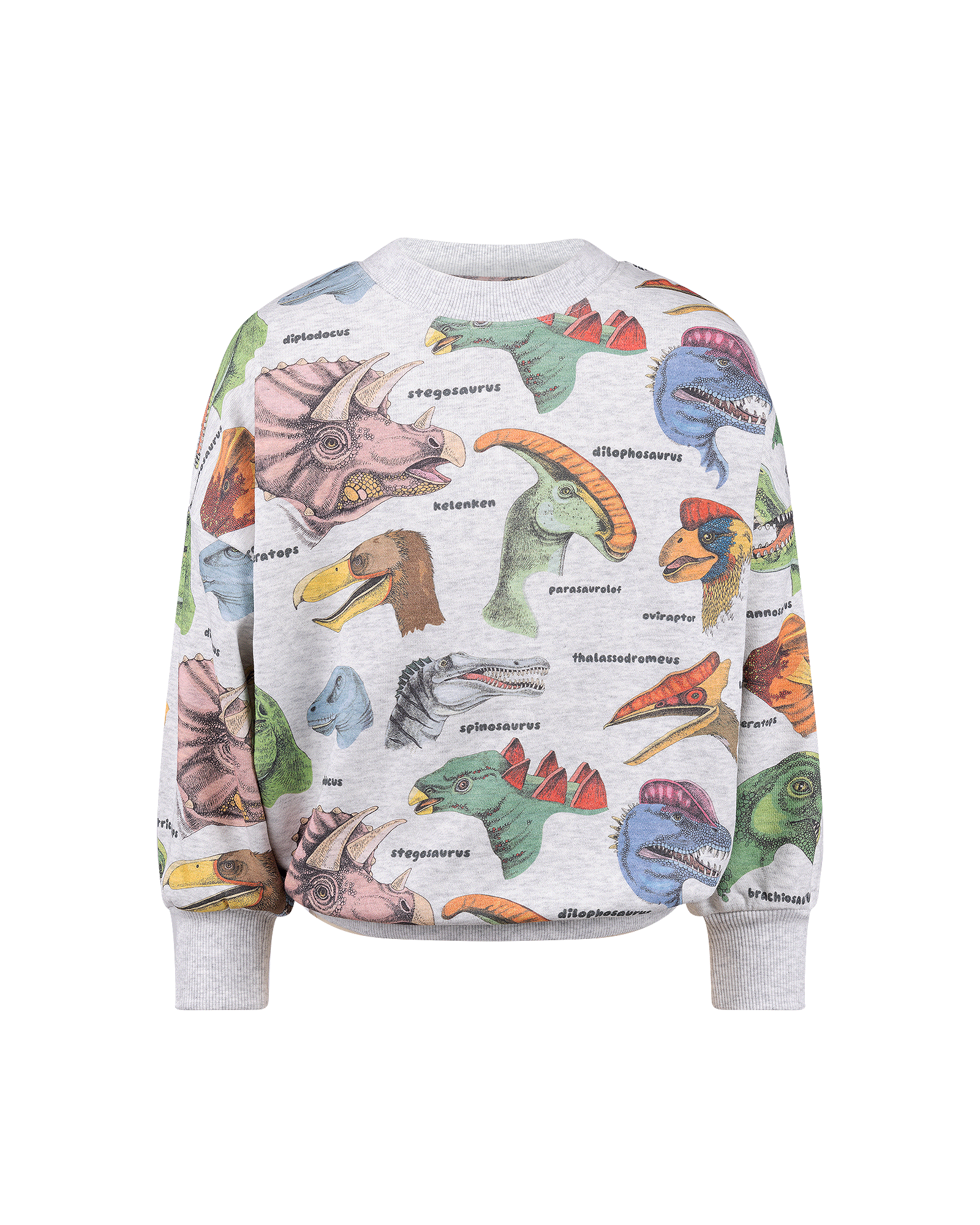DINO BRIGHT SWEATSHIRT