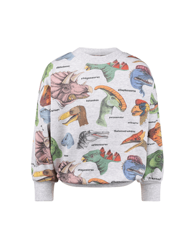 DINO BRIGHT SWEATSHIRT