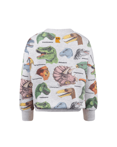 DINO BRIGHT SWEATSHIRT