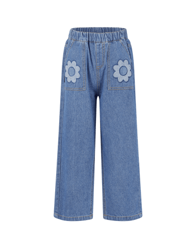 DAISY CHAMBRAY PANT