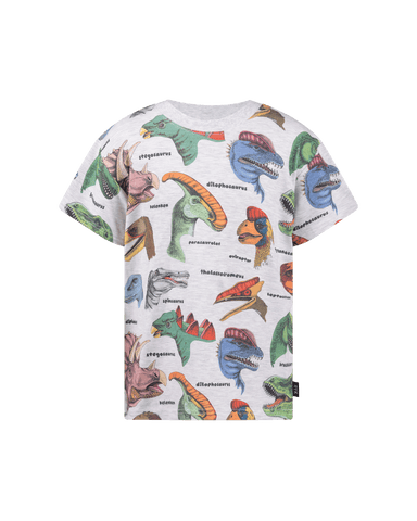 DINO BRIGHT SHORT SLEEVE T-SHIRT