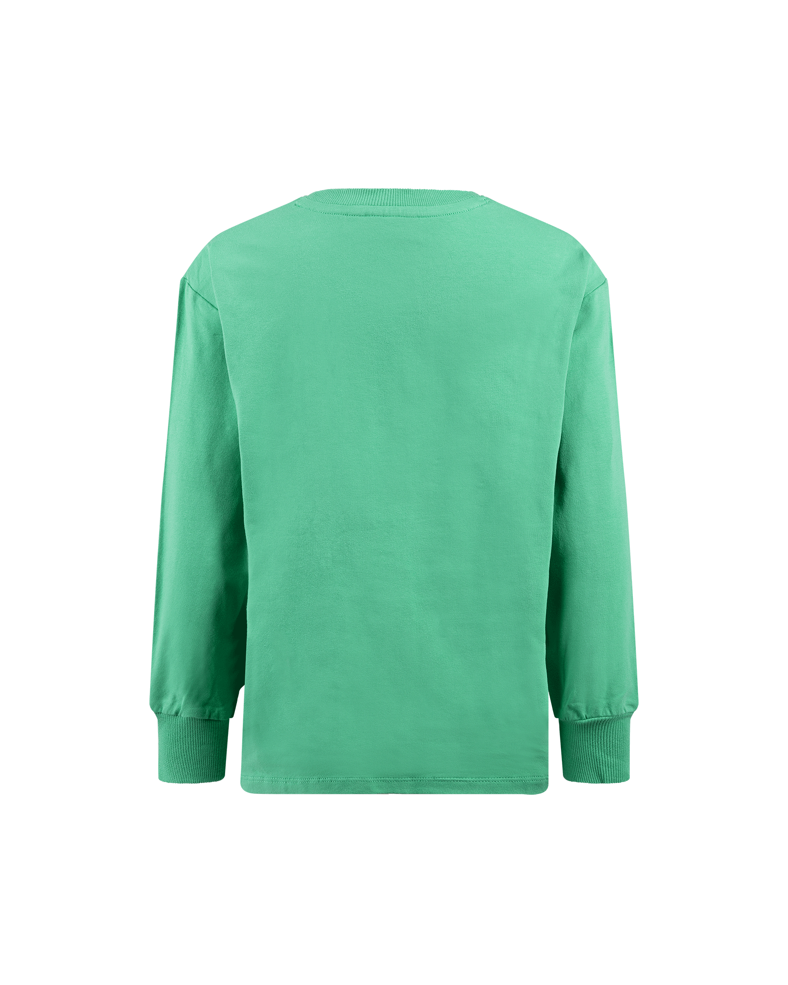DALMATIAN LONG SLEEVE T-SHIRT