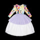 a Rock Your Baby Online ALL TOGETHER CIRCUS DRESS with a long sleeve and tulle.